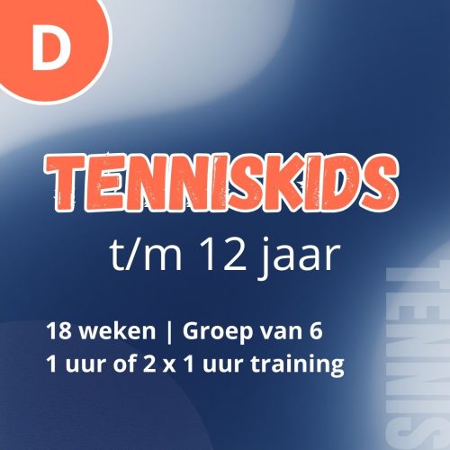 TC '91 Stadshagen | Zomer 2026 | Pakket D