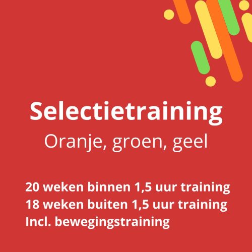 TC '91 Stadshagen | Winter 2026-2027 | Selectie oranje/groen/geel